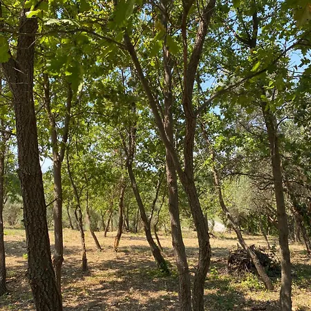 Casale Giselle * Lanciano