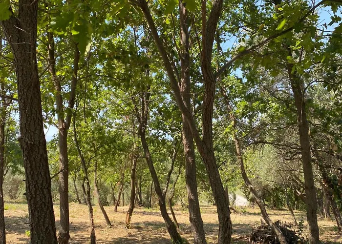 Casale Giselle * Lanciano